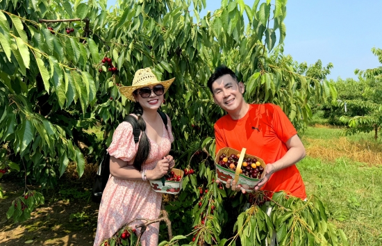 Blogger - ca sĩ Đoan Trường hội ngộ 'thần tưọng' Việt Trinh sau 30 năm