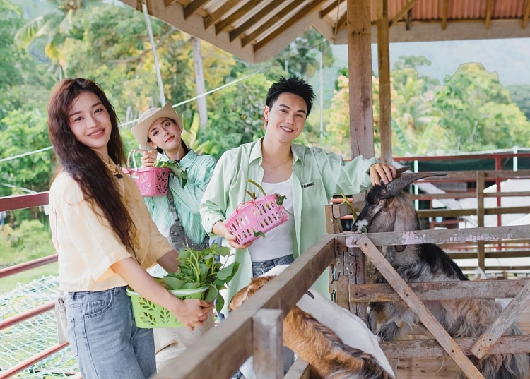 Cara Phương không sợ khi bị so sánh với Jsol, Hoàng Duyên khi cùng tham gia 'Melo-Đi'