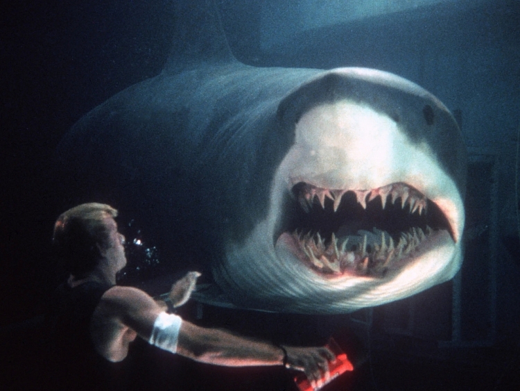 'Hàm tử thần' và loạt phim rùng rợn về những con cá mập khát máu