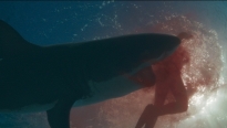 'Hàm tử thần': Tựa phim rừng rợn xoay quanh đàn cá mập khát máu đáng xem hè này