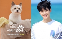Cha Eun Woo hôn cún cưng trong phim mới 'A Good Day to Be a Dog'