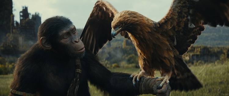 'Hành tinh khỉ: Vương quốc mới' hé lộ trailer bi tráng về cuộc chiến khốc liệt nhất
