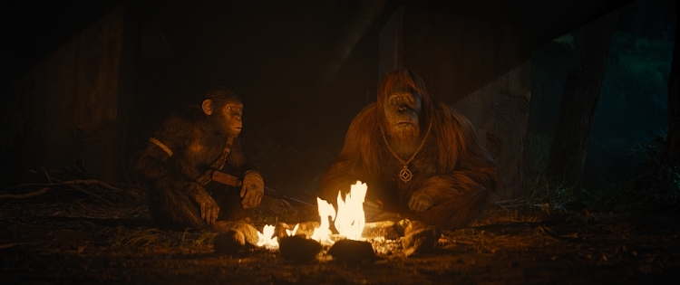 'Hành tinh khỉ: Vương quốc mới' hé lộ trailer bi tráng về cuộc chiến khốc liệt nhất