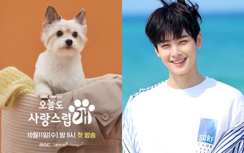 Cha Eun Woo diễn dở nhưng hôn giỏi trong 'A Good Day to be a Dog'