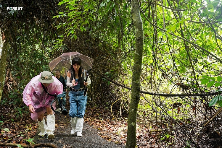 'Mùi vị những chuyến đi': Diệu Nhi, Tiến Luật gặp đại nạn 'Vắt rừng Khao Yai'