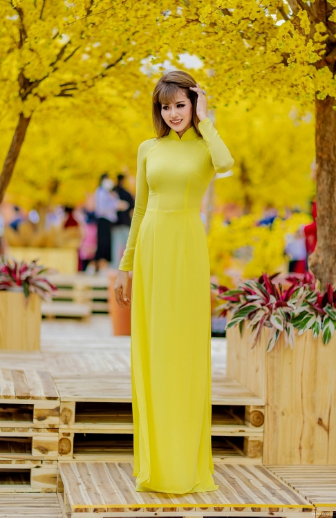 Hơn 300 nghệ sĩ Việt diện áo dài đón Tết tại Phố ông đồ