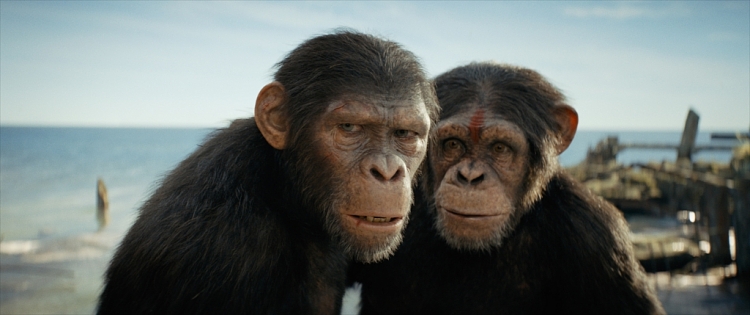 Sức hấp dẫn của 'Hành tinh khỉ', thương hiệu điện ảnh 50 tuổi chưa biết đến mùi thất bại