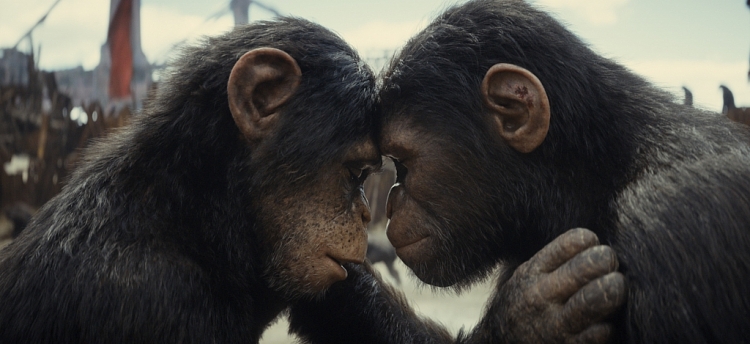 Những điều thú vị đáng chờ đợi ở 'Hành tinh khỉ: Vương quốc mới'