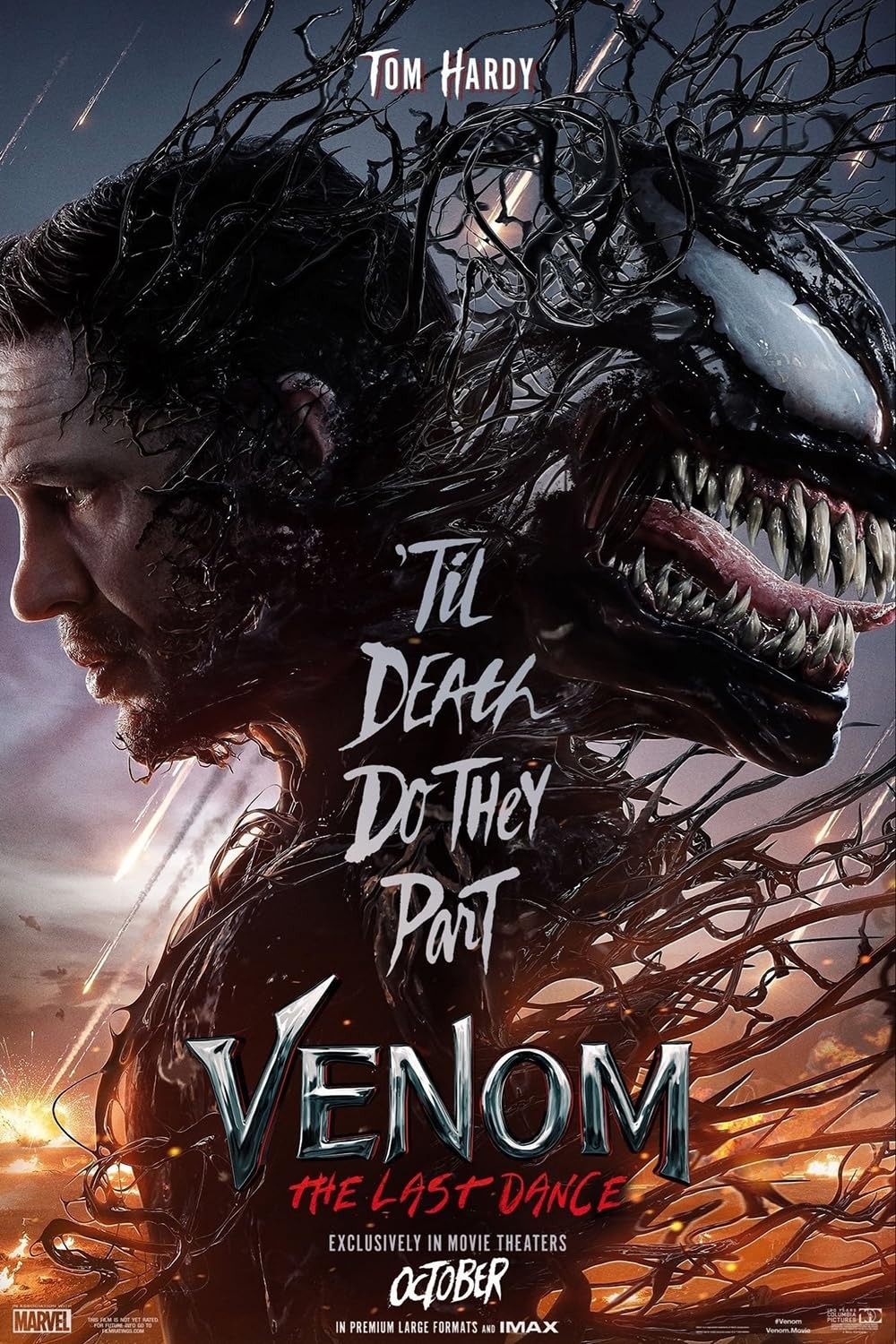 ‘Venom: The Last Dance’ mãn nhãn nhưng thiếu cao trào