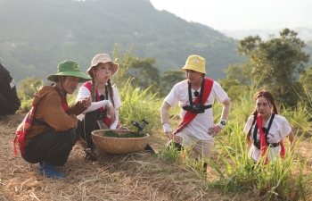 'Biệt đội siêu sao': Nam thần Liên Bỉnh Phát bị thương khi cố tránh để Lan Ngọc không bị thương