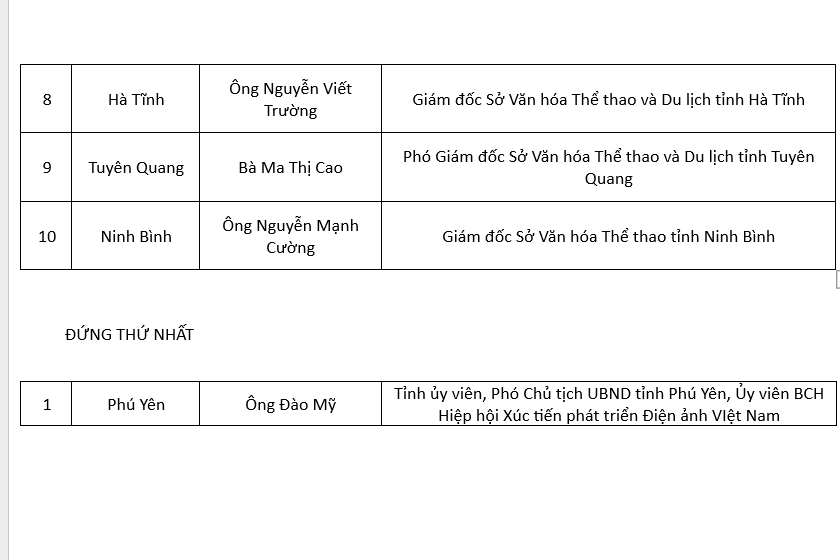 Hiệp hội Xúc tiến phát triển điện ảnh Việt Nam đạt kết quả 'không tưởng' với Bộ chỉ số PAI