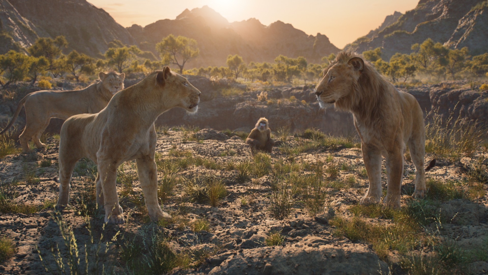 'Mufasa: Vua sư tử': Bản nâng cấp hoàn hảo về mặt hình ảnh so với phần phim trước