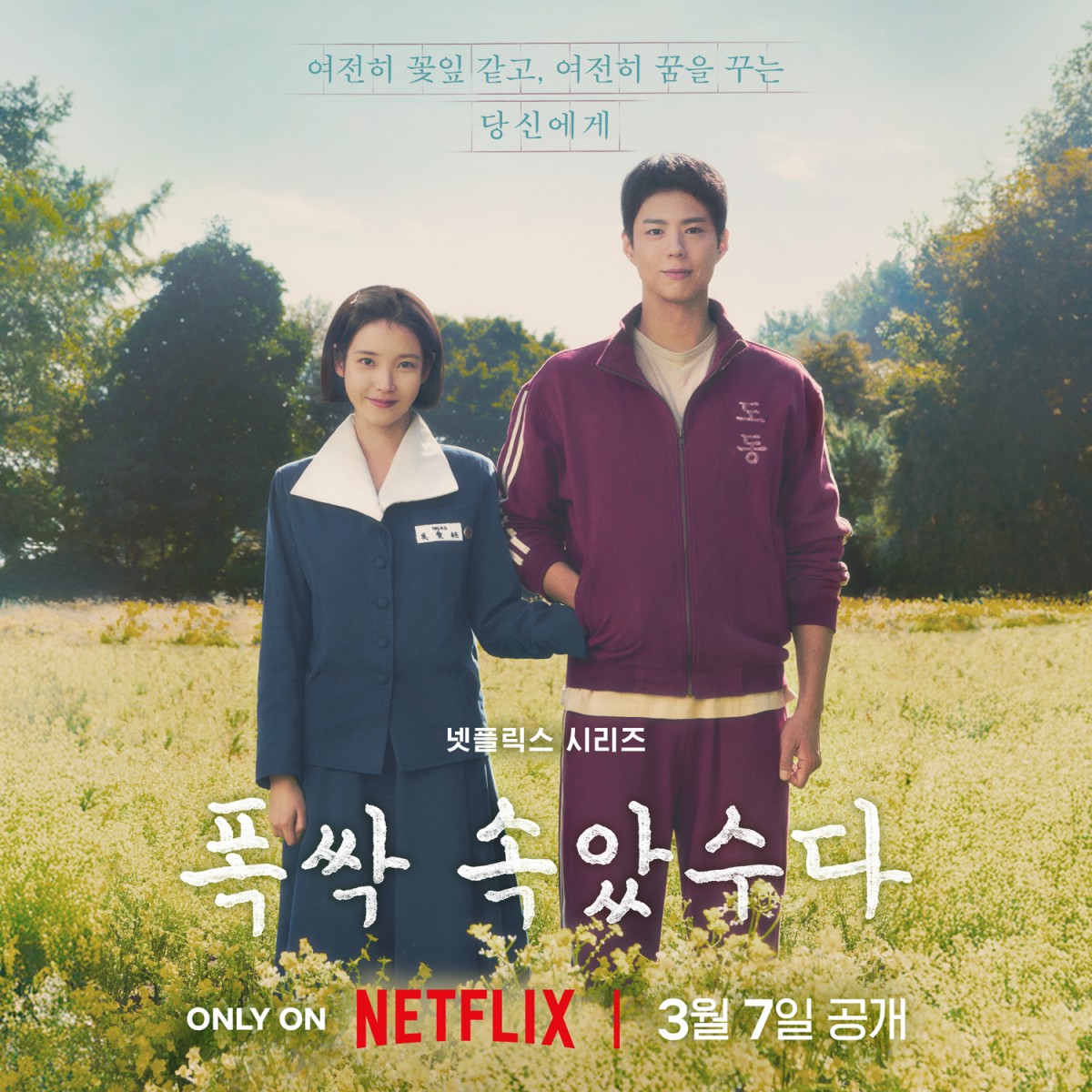 IU và Park Bo Gum 'tình cực tình' trong teaser phim mới