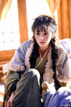 Điền Hi Vi, Trương Lăng Hách gây tranh cãi vì điều gì?