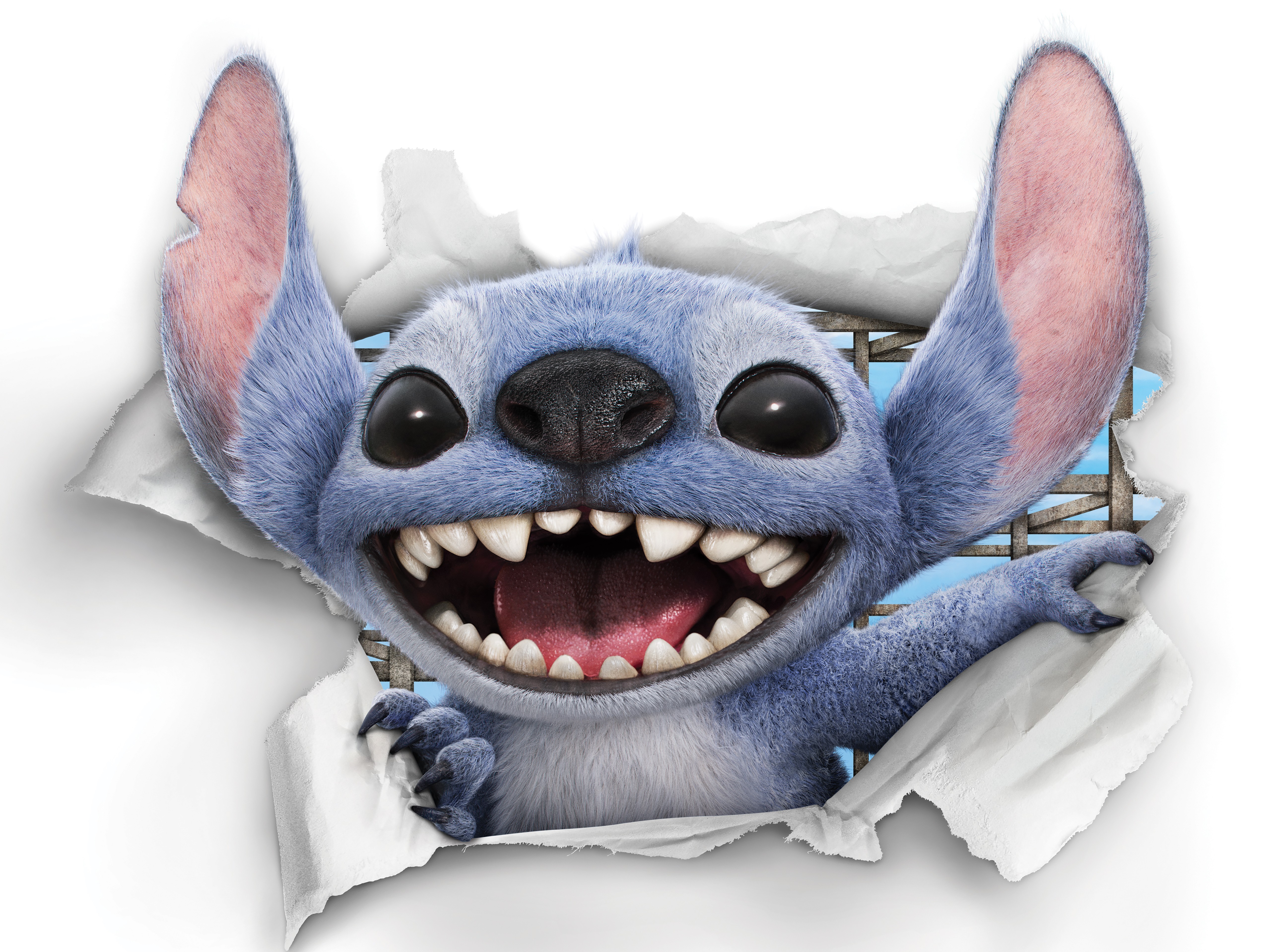 Hành trình đưa 'Lilo & Stitch' từ hoạt hình bước lên màn ảnh rộng