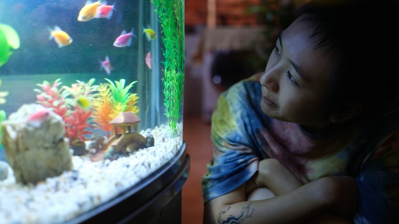 Nam Linh: Tài năng mới của điện ảnh Việt Nam