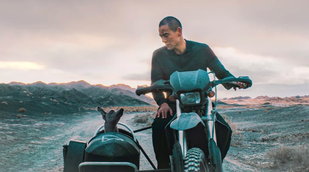 ‘Black Dog’ - Siêu phẩm của Bành Vu Yến tranh tài tại Liên hoan phim Châu Á Đà Nẵng 2025