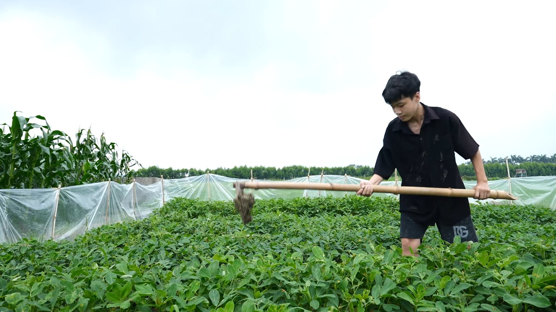 'Mái ấm gia đình Việt': MC Thanh Thảo, Lương Thu Trang và Đỗ Hoàng Hiệp nghẹn lòng trước nỗi đau mất cha của các em nhỏ mồ côi