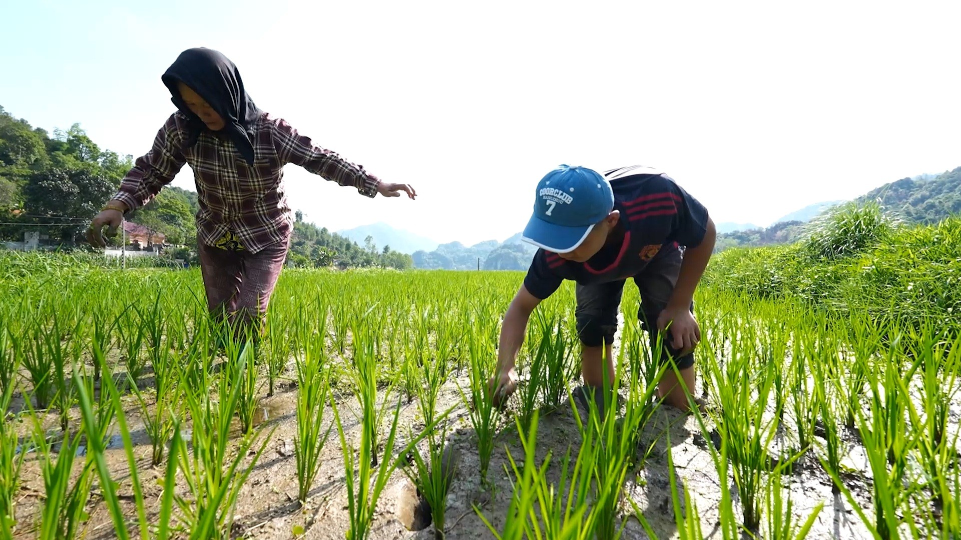 'Mái ấm gia đình Việt': MC Thanh Thảo, Lương Thu Trang và Đỗ Hoàng Hiệp nghẹn lòng trước nỗi đau mất cha của các em nhỏ mồ côi