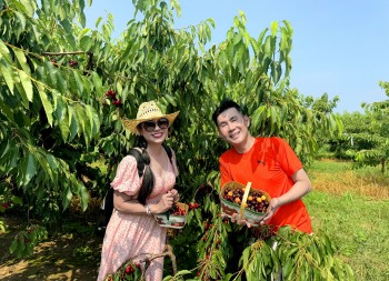 Blogger - ca sĩ Đoan Trường hội ngộ 'thần tưọng' Việt Trinh sau 30 năm