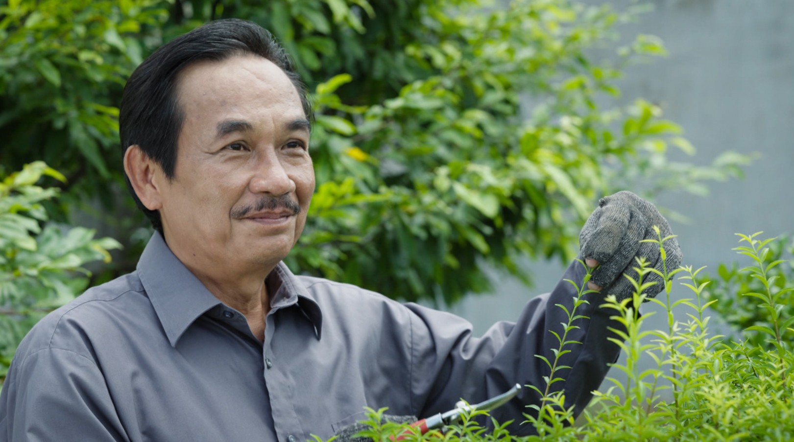 Nguyễn Sơn trong phim Vun xới cội nguồn