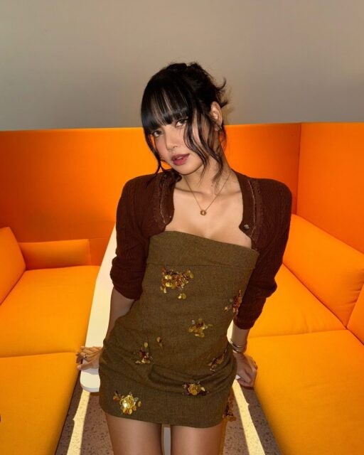 Lisa (BlackPink) nhận bình luận ác ý vì 'thân mật' với bạn diễn người Nhật