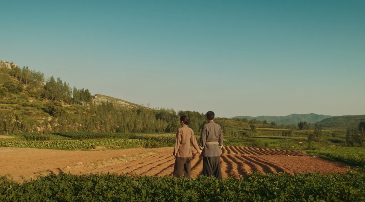 Dù đạt thành tích tốt, phim của Dương Mịch vẫn gây tranh cãi