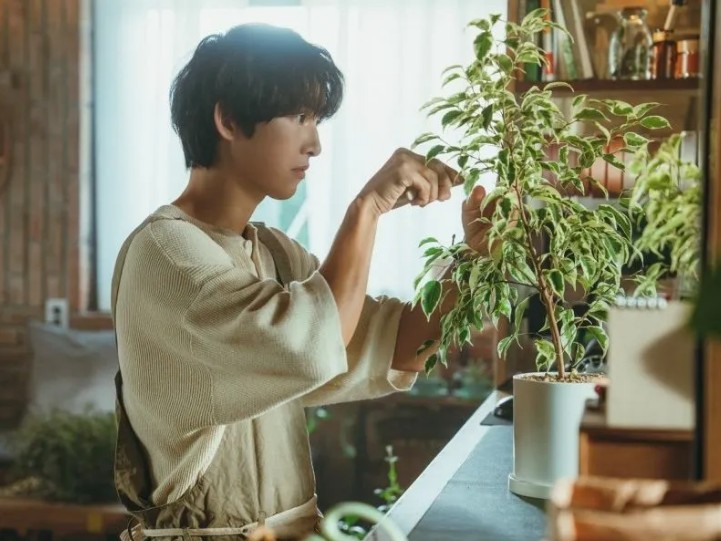 Song Joong Ki quay trở lại phim truyền hình để 'cứu' sự nghiệp?