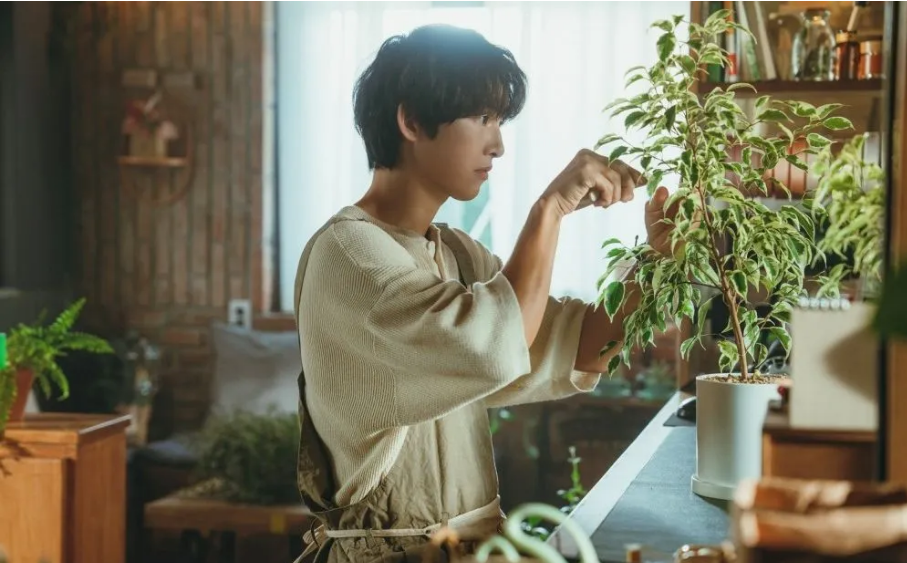 Song Joong Ki quay trở lại phim truyền hình để 'cứu' sự nghiệp?