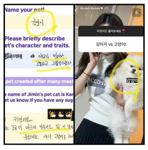 Tổng hợp những lần 'bạn gái tin đồn' của Jimin (BTS) 'tung hint' trên MXH