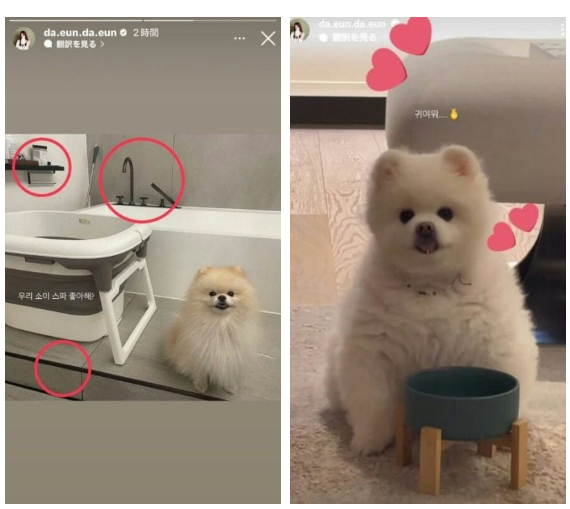 Jimin (BTS) im lặng trước loạt chiêu trò của Song Da Eun: Đã từng có tình yêu thực sự?