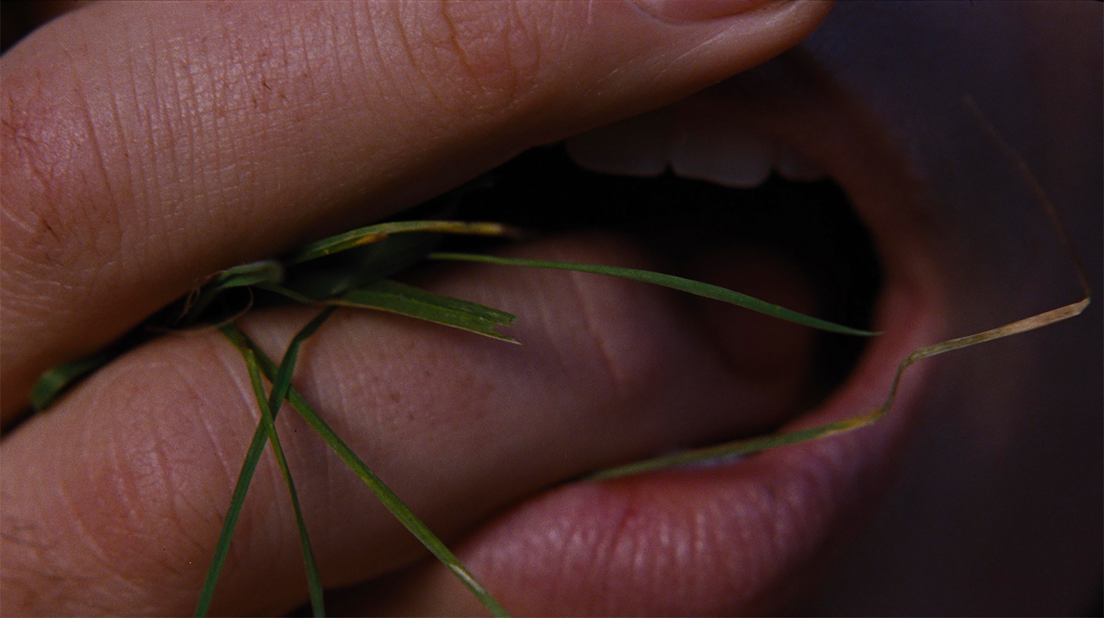 Tượng đài văn học của Emily Brontë trở lại màn ảnh đầy nóng bỏng với Margot Robbie và Jacob Elordi