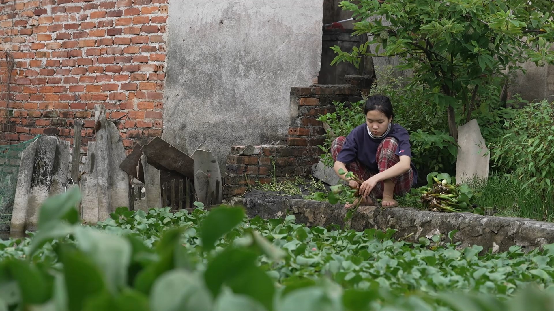 'Mái ấm gia đình Việt': MC Thanh Thảo, B Trần và Hà Myo chạnh lòng trước cảnh cô bé mất cha, gia đình mỗi người một nơi vì hoàn cảnh thiếu thốn