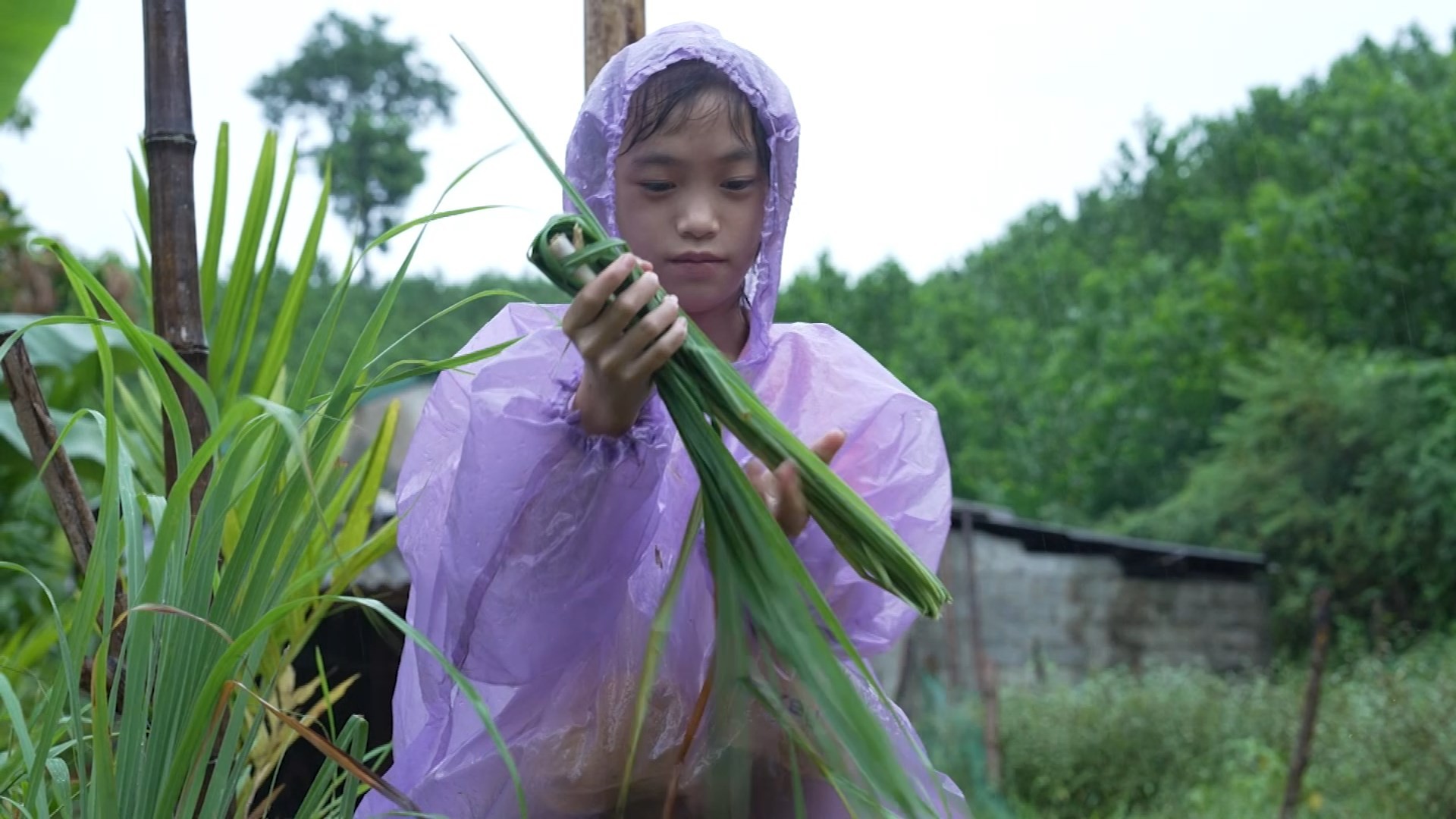 'Mái ấm gia đình Việt': Lâm Vỹ Dạ bật khóc, Hoàng Thùy xót xa khi chứng kiến cảnh thiếu thốn tình cảm gia đình của các bé mồ côi