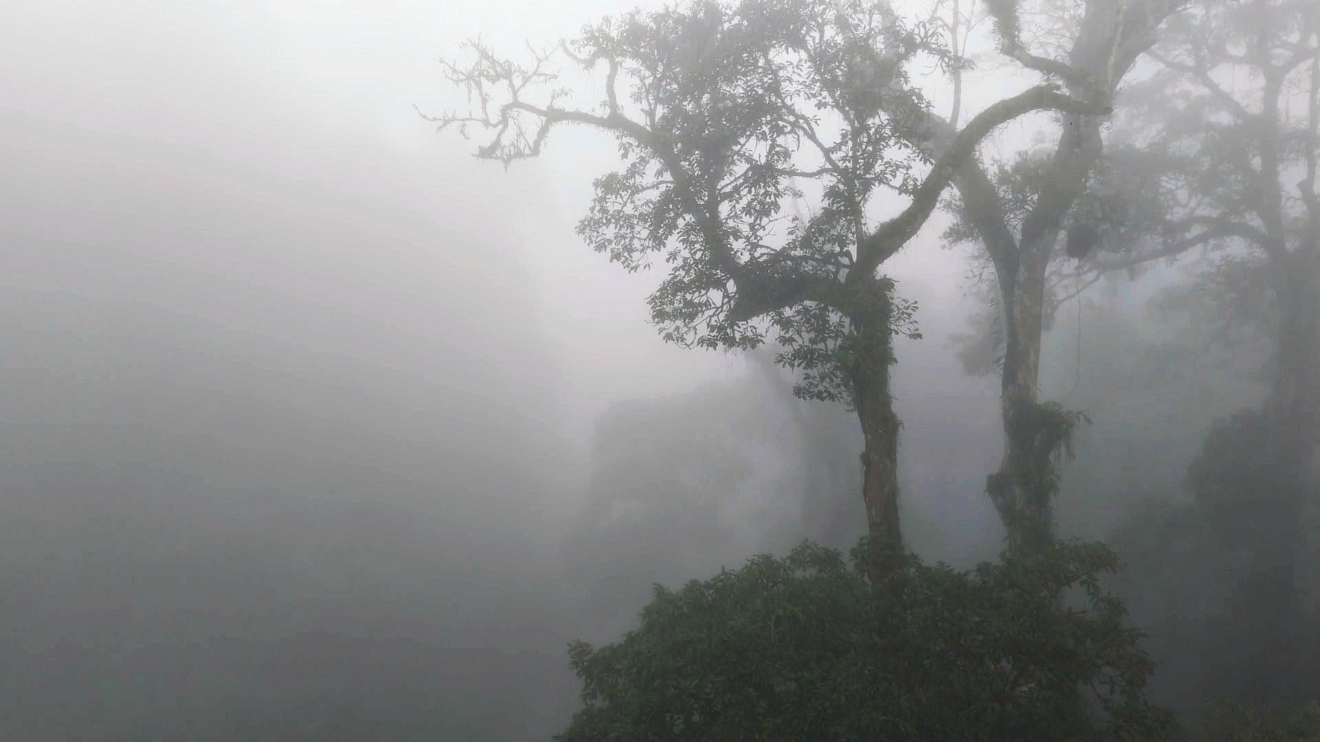 Loạt cảnh sắc kỳ vĩ, ma mị khắp miền Bắc lần đầu bước lên màn ảnh trong phim kinh dị 'Đồi hành xác: Tà thuyết đen trở lại'