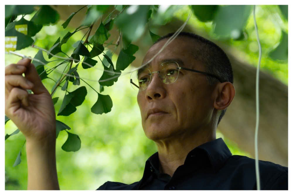 ‘Silent Friend’: Có một Lương Triều Vỹ tỏa sáng giữa trời Âu