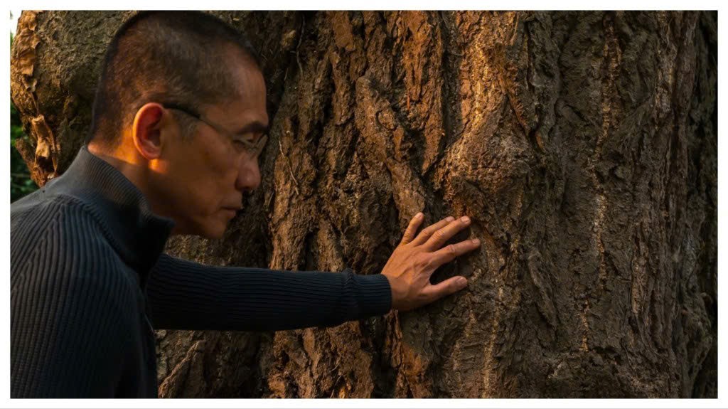 ‘Silent Friend’: Có một Lương Triều Vỹ tỏa sáng giữa trời Âu