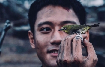 Thấy gì từ bức tranh doanh thu khởi sắc của phim Việt năm 2025