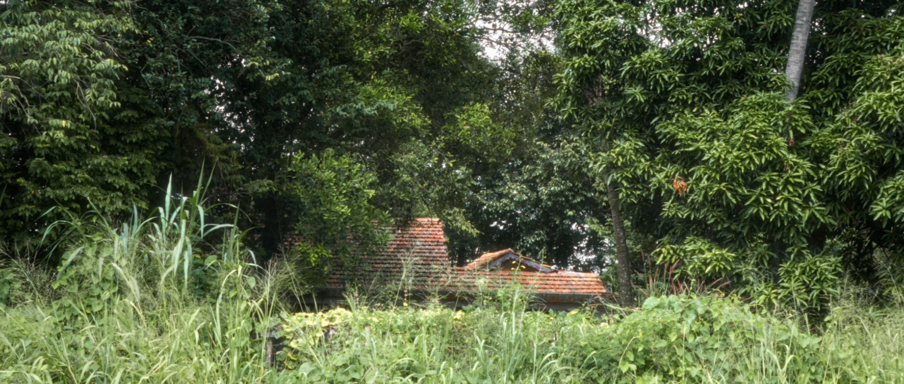 'Nhà hai chủ': Những tiết lộ rùng rợn về chủ nhân thực sự của ngôi nhà giá rẻ