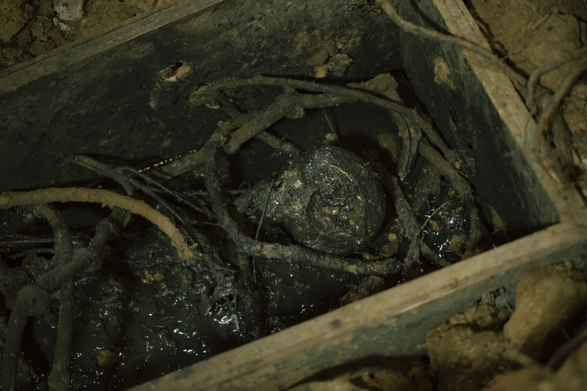 Dàn diễn viên 'Cải mả' lần đầu kể về trải nghiệm tâm linh trên phim trường