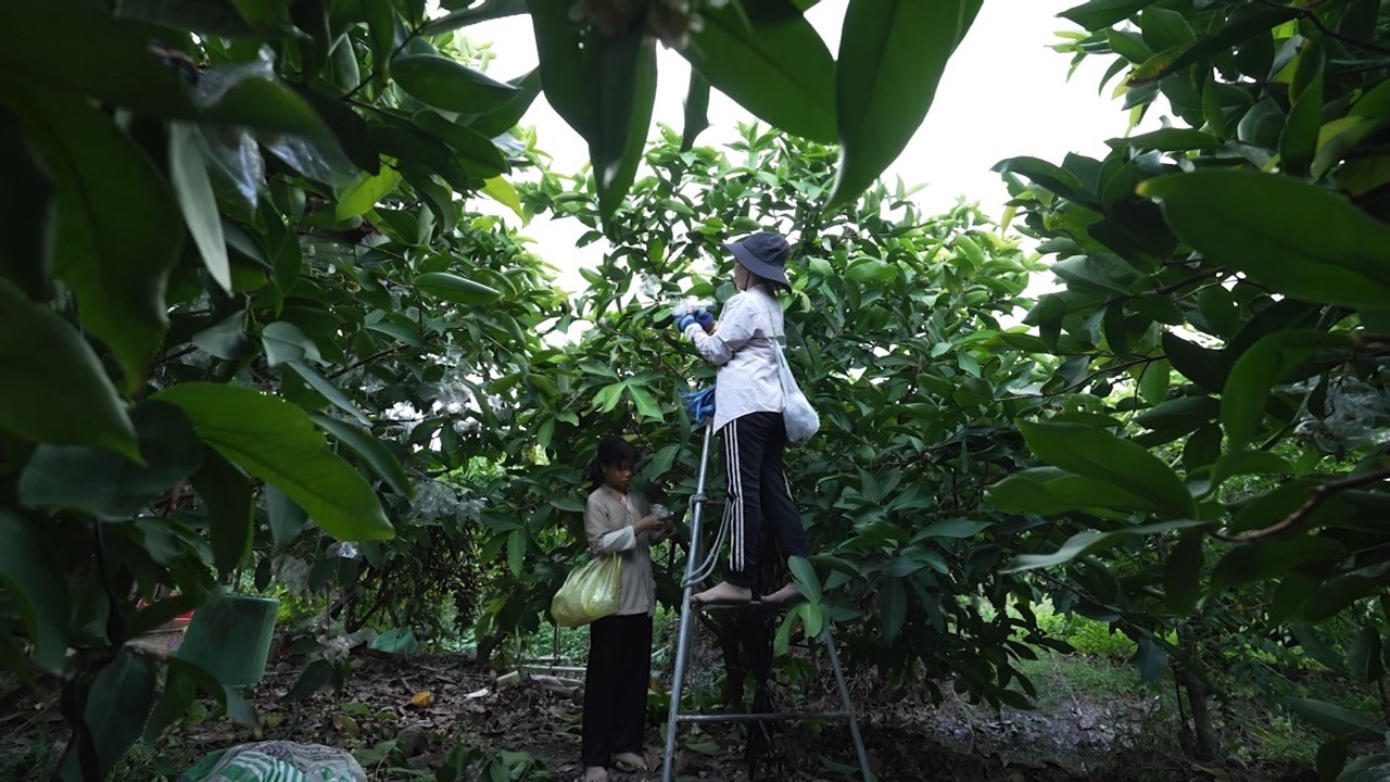'Mái ấm gia đình Việt': Phương Trinh Jolie bật khóc khi thấy hình ảnh tuổi thơ mình trong cô bé mồ côi