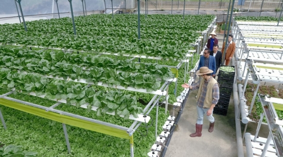 Nhan Phúc Vinh và hành trình giữ gìn di sản của gia đình