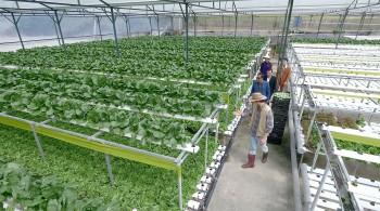 Nhan Phúc Vinh và hành trình giữ gìn di sản của gia đình