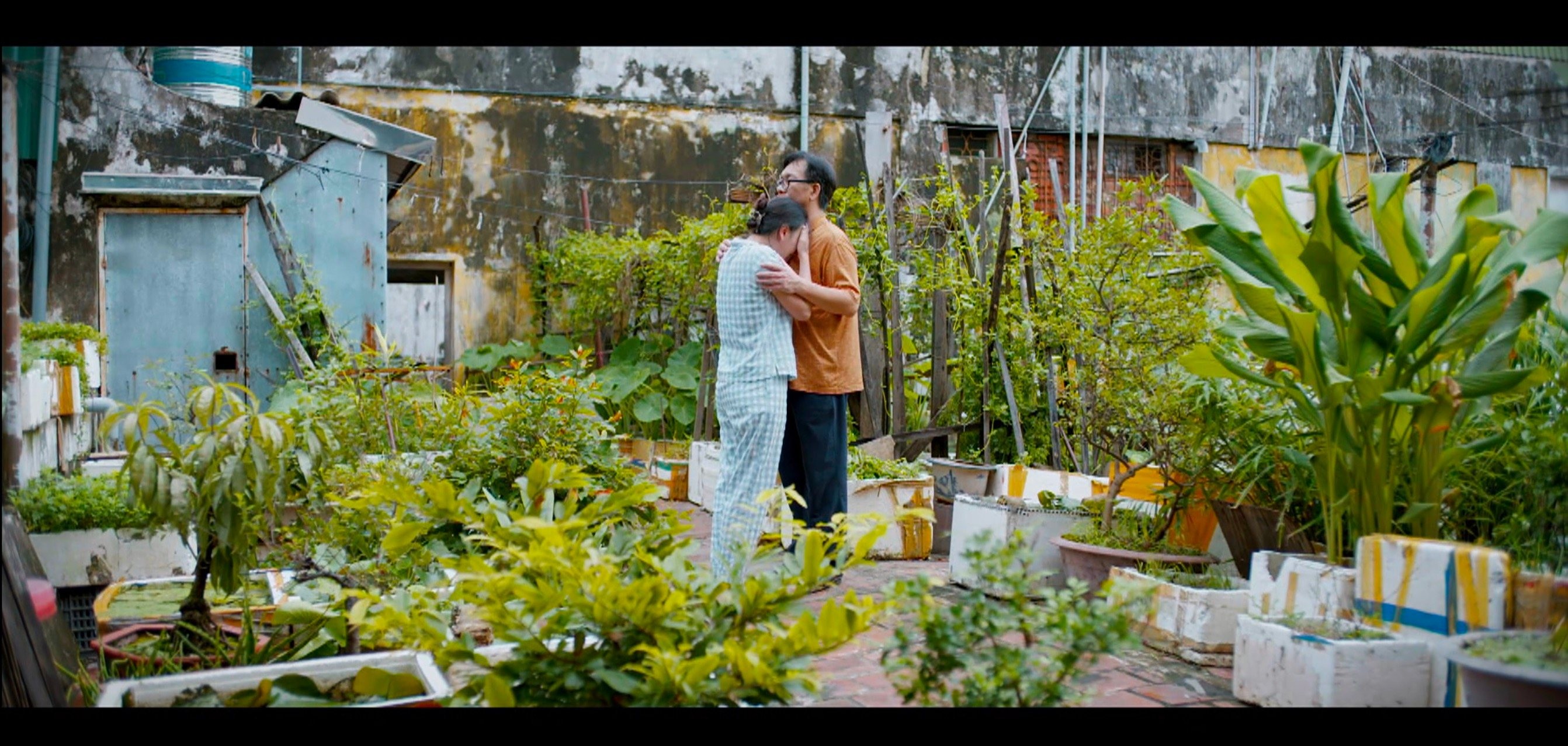 Lời an ủi của bố Thành khiến Phương Oanh khóc nức nở trên màn ảnh