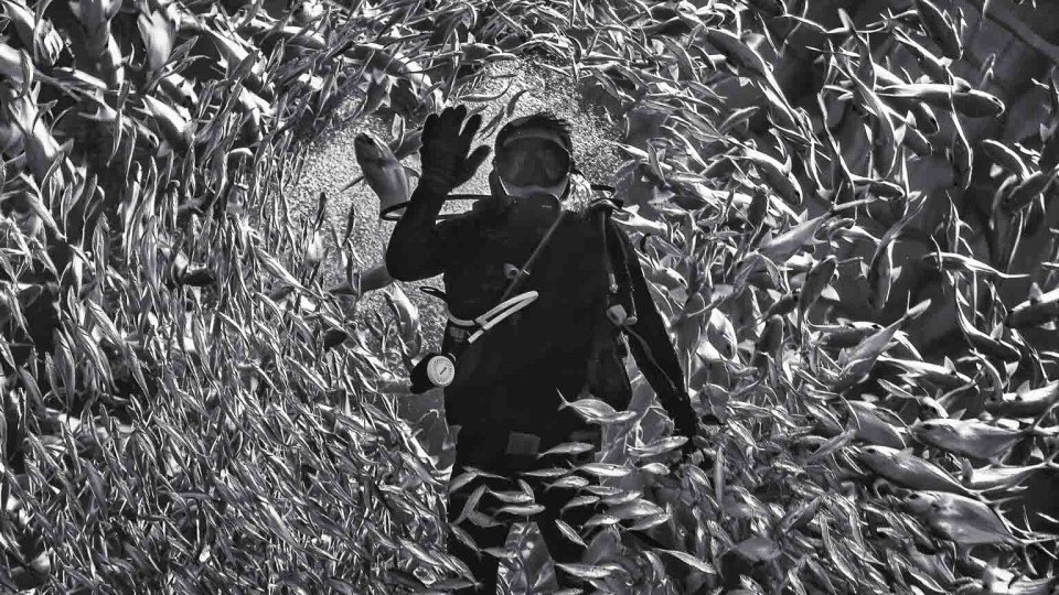 Khai mạc Triển lãm Cuộc thi Ảnh nghệ thuật Quốc tế lần thứ 13