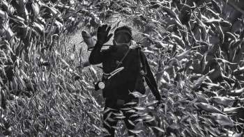 Khai mạc Triển lãm Cuộc thi Ảnh nghệ thuật Quốc tế lần thứ 13