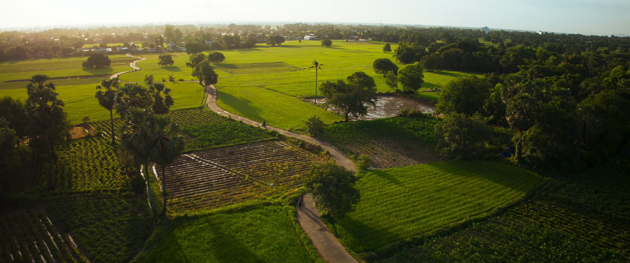 Mai Tài Phến chính thức 'chạm ngõ' điện ảnh với vai trò đạo diễn trong dự án phim mới của Mỹ Tâm
