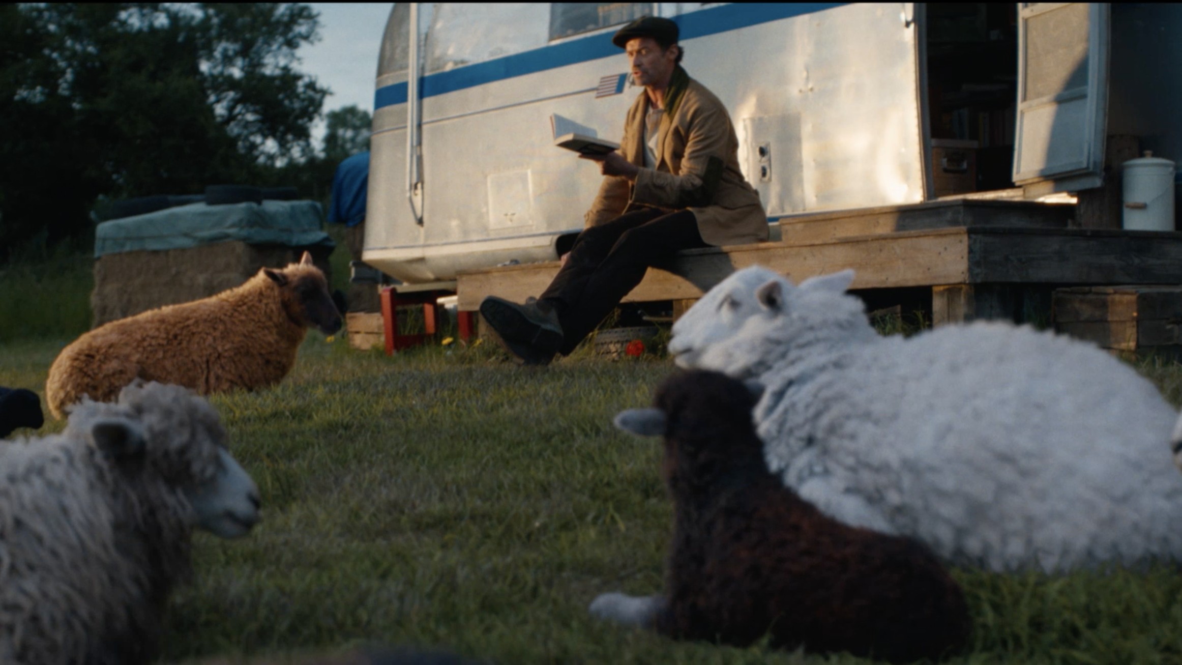 Trailer 'Đội thám tử Cừu: Án mạng lúc nửa đêm' hé lộ vụ án triệu đô với đàn cừu là thám tử