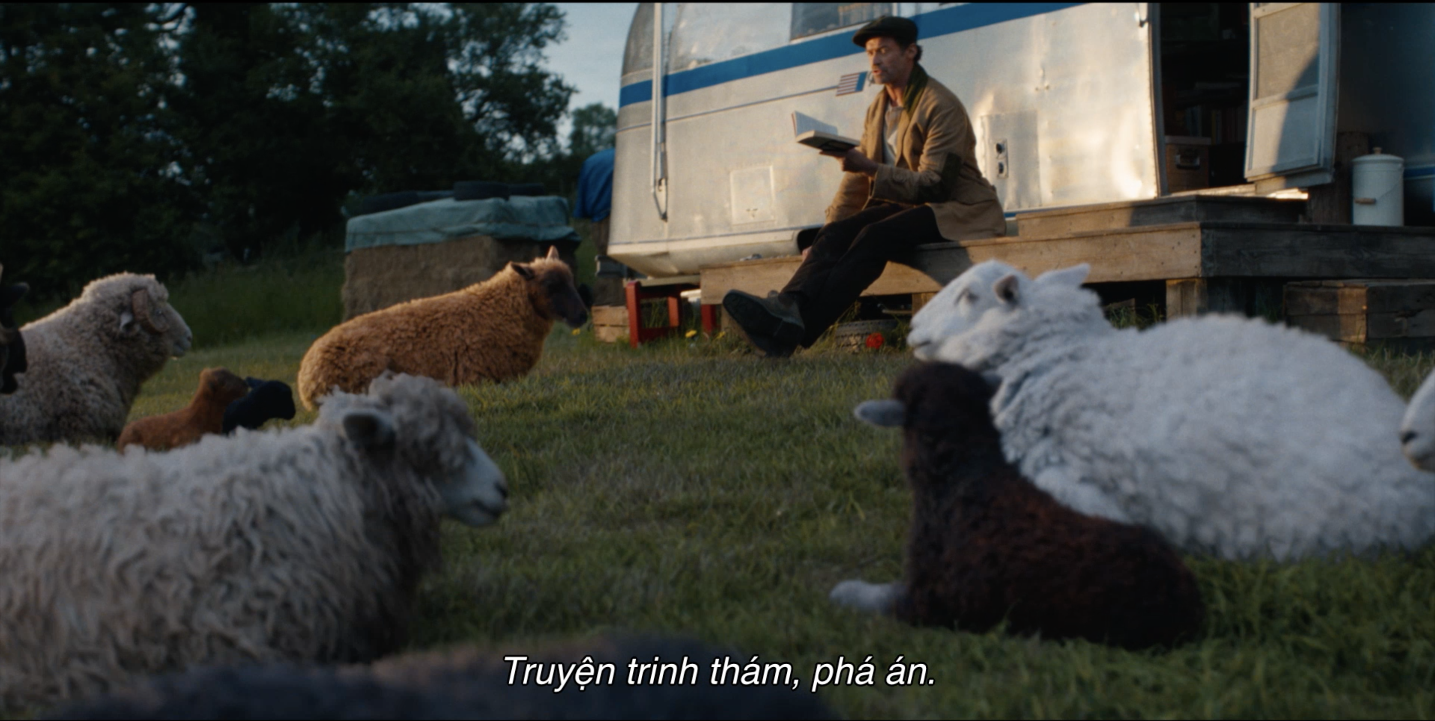 Trailer 'Đội thám tử Cừu: Án mạng lúc nửa đêm' hé lộ vụ án triệu đô với đàn cừu là thám tử