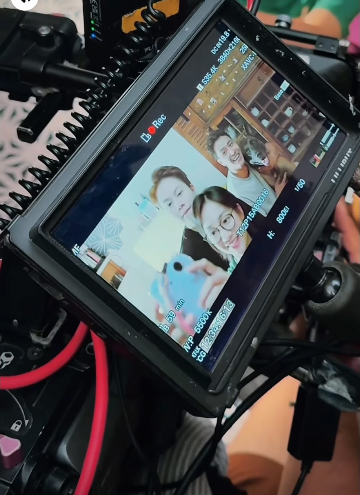 Thanh Sơn tái xuất với người bạn diễn bốn chân trong 'Đồng hồ đếm ngược'